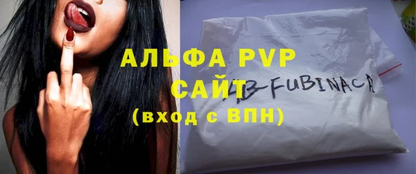 ECSTASY Инсар