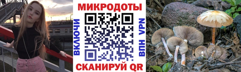 Галлюциногенные грибы Psilocybe  Саров 