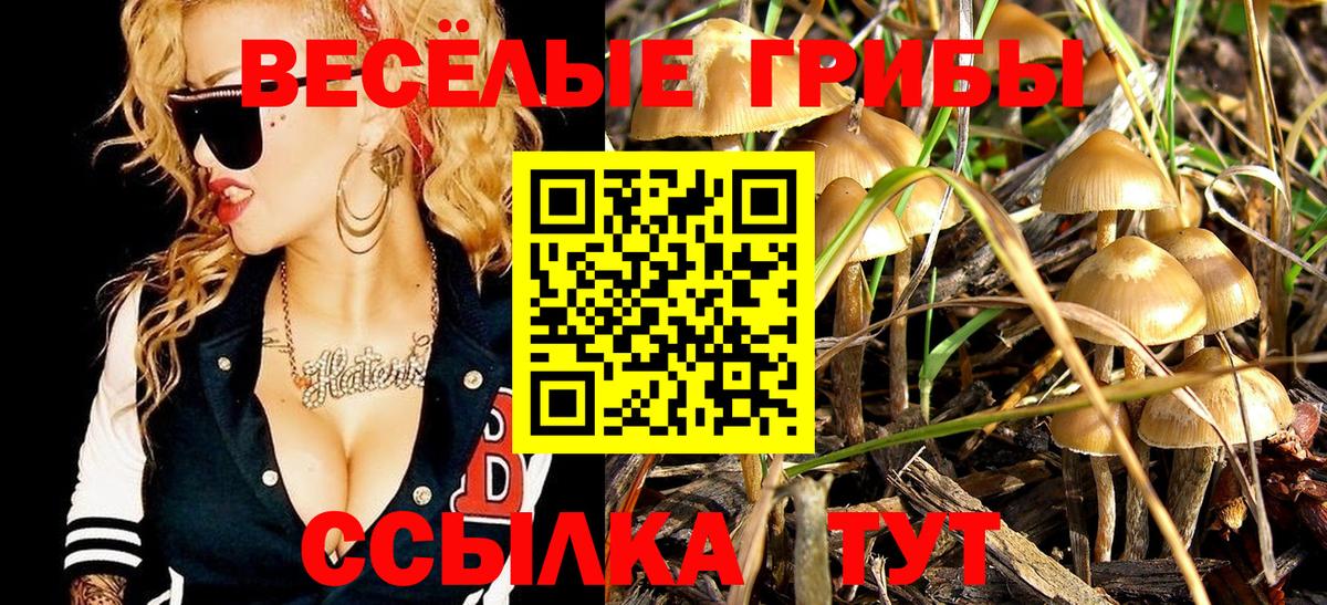 Псилоцибиновые грибы Cubensis Саров