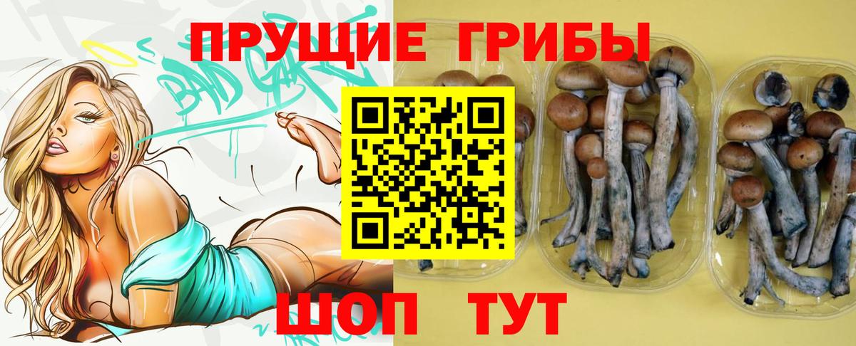 Саров  Галлюциногенные грибы ЛСД  Вход с VPN 
